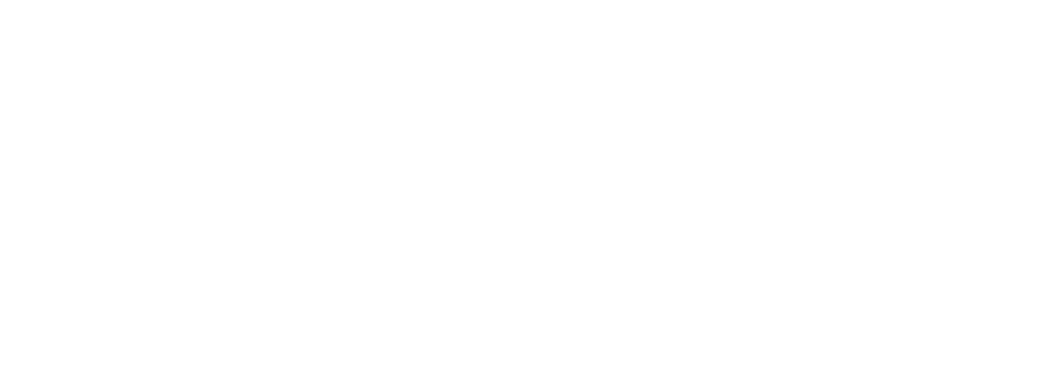 FRACCIONAMIENTO AURA LOGO FOOTER